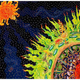 Illustration for article titled A delightfully trippy artistic interpretation of the biosphere concept